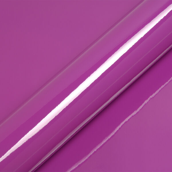 anemone purple gloss